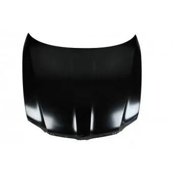 BLIC 6803-00-7526280P - Capot-moteur