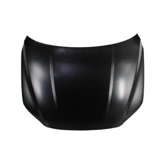 Capot-moteur BLIC 6803-00-9038280P