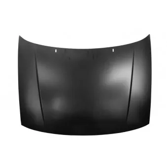 BLIC 6803-00-9504280P - Capot-moteur