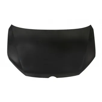 BLIC 6803-00-9591280P - Capot-moteur