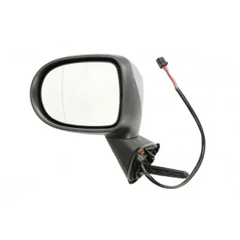 Rétroviseur extérieur BLIC OEM 7701069555