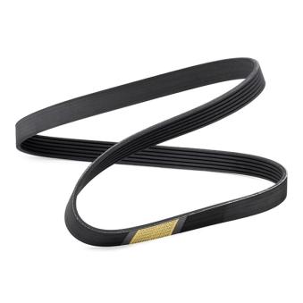 Courroie trapézoïdale à nervures RIDEX OEM 119209f605 Courroie trapézoïdale à nervures RIDEX OEM 119209f605