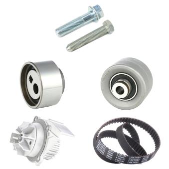 Pompe à eau + kit de courroie crantée RIDEX OEM 0816A8 Pompe à eau + kit de courroie crantée RIDEX OEM 0816A8