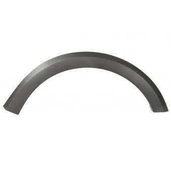 Baguette et bande protectrice, aile avant droit BLIC 5703-08-1303378P