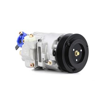 Compresseur, climatisation RIDEX OEM 6Q0820803G Compresseur, climatisation RIDEX OEM 6Q0820803G