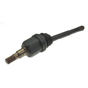 SPIDAN 24620 - Joint, arbre de commande