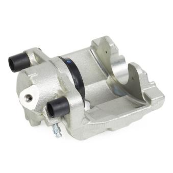 Étrier de frein RIDEX OEM 410111495R Étrier de frein RIDEX OEM 410111495R