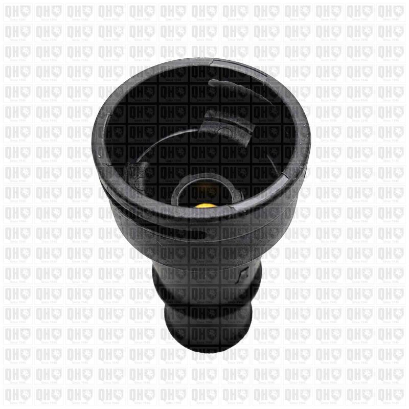 Thermostat, refroidissement EGR QUINTON HAZELL QTH1151K - Visuel 1