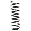 Ressort de suspension SPIDAN [48028]