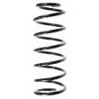 SPIDAN 48211 - Ressort de suspension