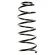 SPIDAN 48524 - Ressort de suspension