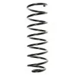 SPIDAN 48539 - Ressort de suspension