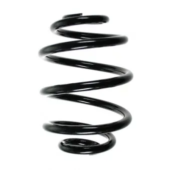 Ressort de suspension SPIDAN OEM 4647509
