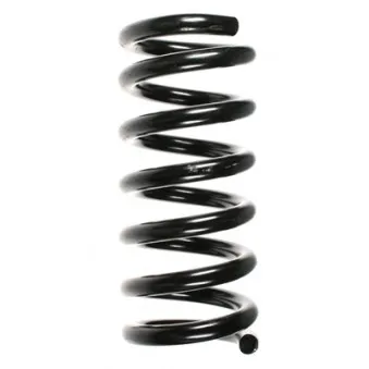 Ressort de suspension SPIDAN 49104