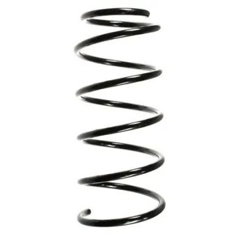 SPIDAN 49106 - Ressort de suspension