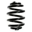 SPIDAN 49147 - Ressort de suspension