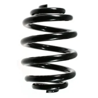 Ressort de suspension SPIDAN OEM 701511105K