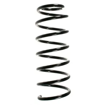 Ressort de suspension SPIDAN OEM 357411105B