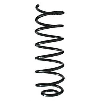 Ressort de suspension SPIDAN OEM 424016