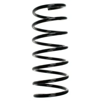 Ressort de suspension SPIDAN OEM 31331135462