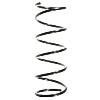 Ressort de suspension SPIDAN OEM 5002R0