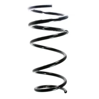 Ressort de suspension SPIDAN OEM 6025112062