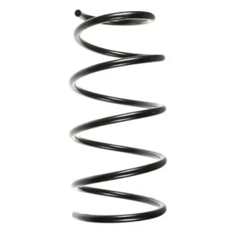 Ressort de suspension SPIDAN OEM 31331090763