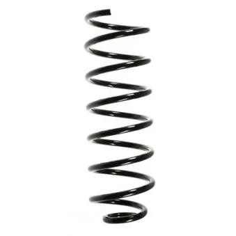 Ressort de suspension SPIDAN OEM 1H5511115E