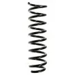 SPIDAN 49345 - Ressort de suspension