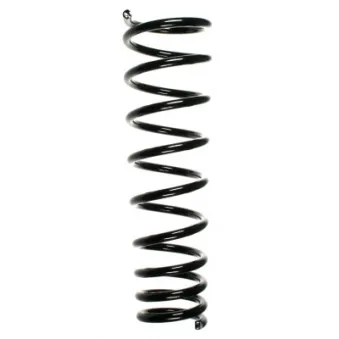 Ressort de suspension SPIDAN OEM 60654278