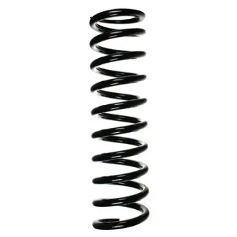 Ressort de suspension SPIDAN OEM A1403212104