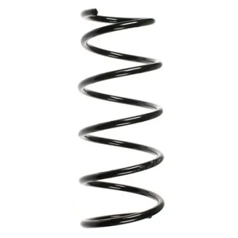 Ressort de suspension SPIDAN OEM 5401000QAK