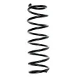 SPIDAN 49528 - Ressort de suspension