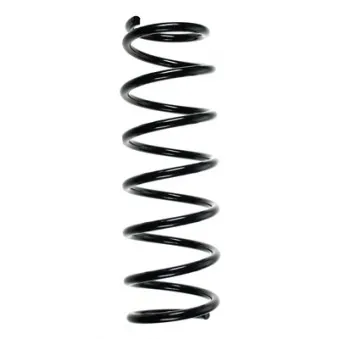Ressort de suspension SPIDAN OEM 4111181A20