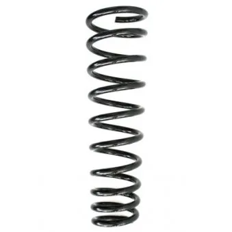 Ressort de suspension SPIDAN OEM 60624992