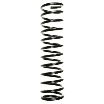 Ressort de suspension SPIDAN 49535