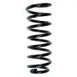SPIDAN 49542 - Ressort de suspension