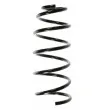 SPIDAN 49551 - Ressort de suspension