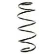 SPIDAN 49618 - Ressort de suspension