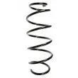 SPIDAN 49629 - Ressort de suspension