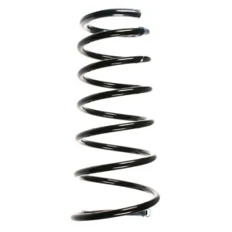 Ressort de suspension SPIDAN OEM 1040596
