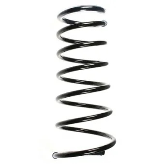 Ressort de suspension SPIDAN OEM 1104898