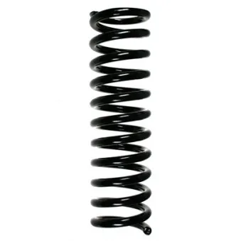Ressort de suspension SPIDAN OEM 1403210804