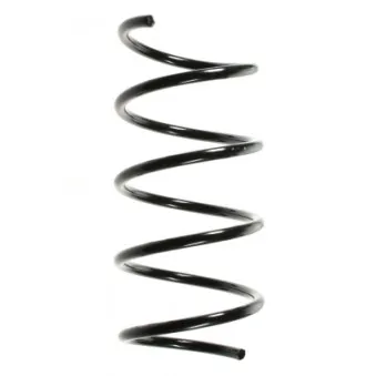 Ressort de suspension SPIDAN OEM 1683212704
