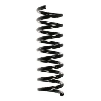 Ressort de suspension SPIDAN OEM A2023241704