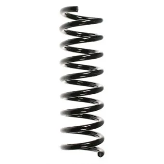 Ressort de suspension SPIDAN OEM A1703240004