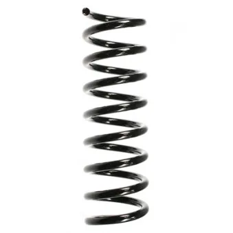 Ressort de suspension SPIDAN OEM A1703210004