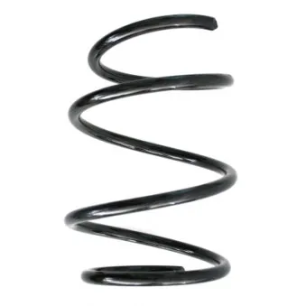Ressort de suspension SPIDAN OEM 31336759377