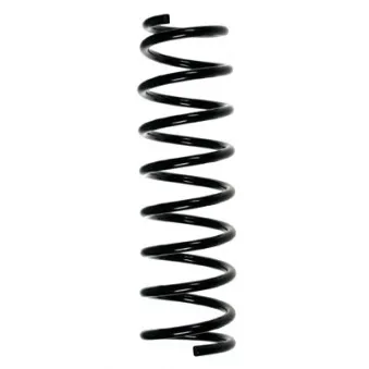 Ressort de suspension SPIDAN OEM 4111183E1000