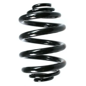 Ressort de suspension SPIDAN OEM 701511105M